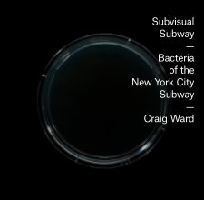 Subvisual Subway book cover