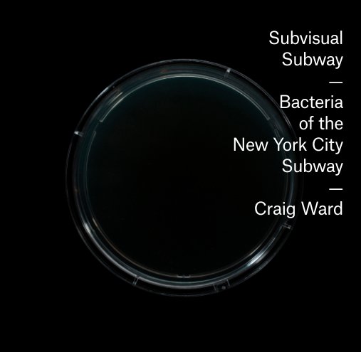 Visualizza Subvisual Subway di Craig Ward
