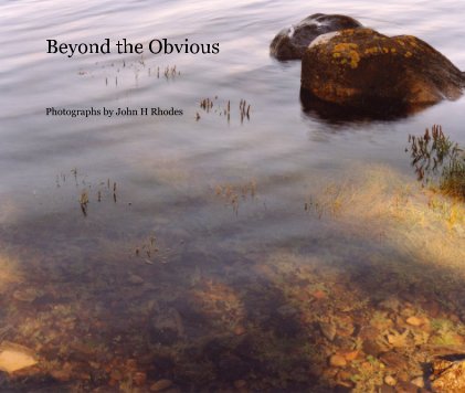 Beyond the Obvious book cover