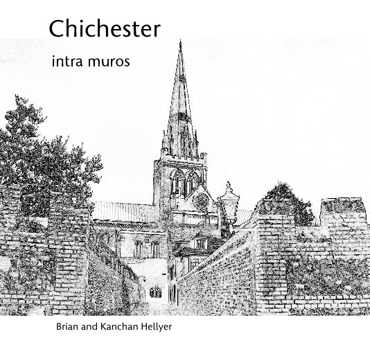 View Chichester by Brian and Kanchan Hellyer