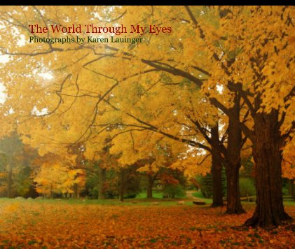 The World Through My Eyes
Photographs by Karen Lauinger book cover