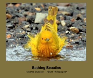 Bathing Beauties book cover