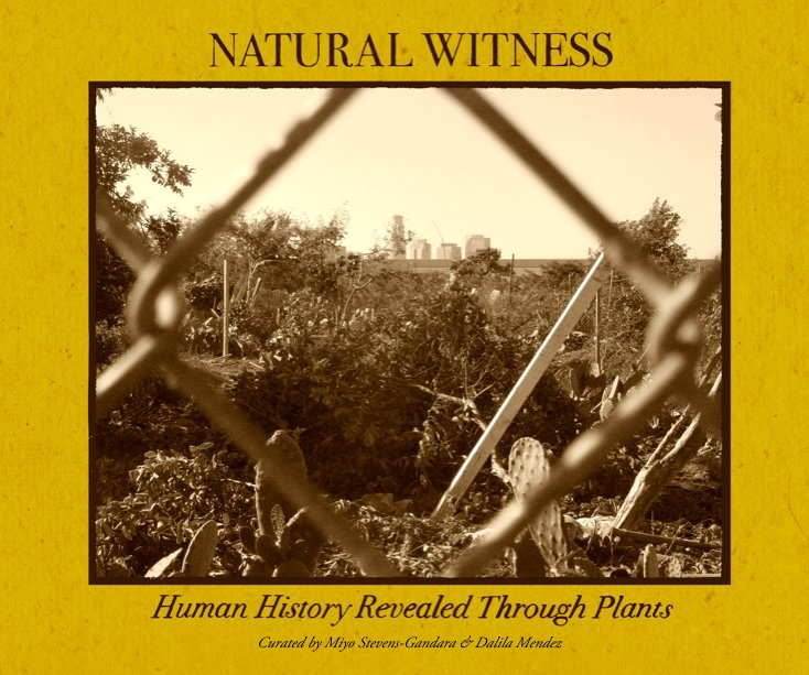 View Natural Witness by Miyo Stevens-Gandara & Dalila Mendez