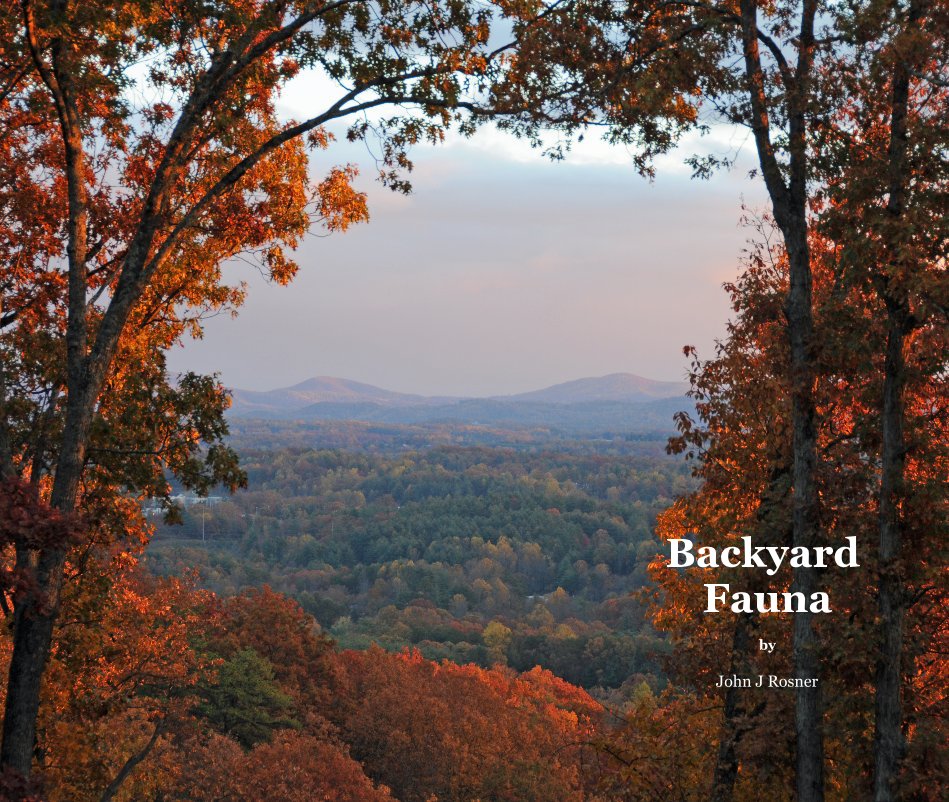 View Backyard Fauna by John J Rosner