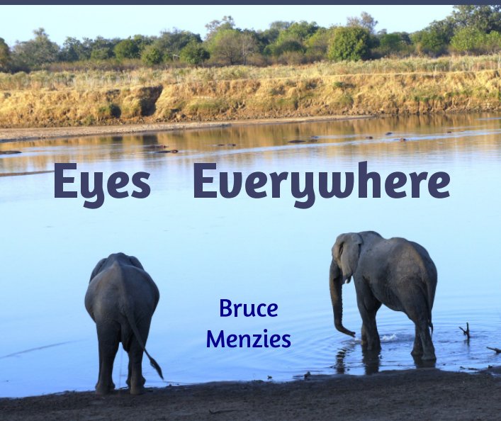 View Eyes Everywhere by Bruce Menzies