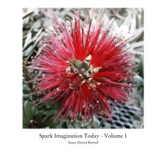 Spark Imagination Today - Volume 1 book cover