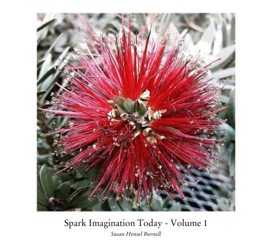 View Spark Imagination Today - Volume 1 by Susan Hensel Burnell