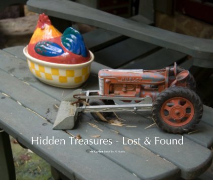 Hidden Treasures - Lost & Found book cover
