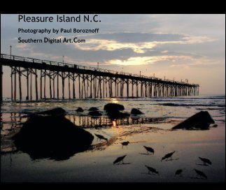 Pleasure Island N.C. book cover