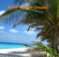 Bimini Dolphin Dreams book cover