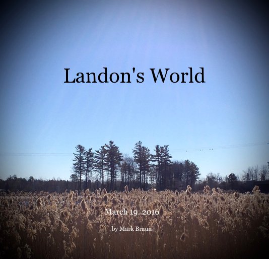 View Landon's World by Mark Braun