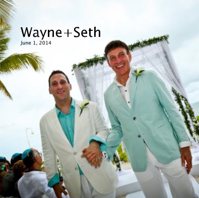 Wayne+Seth June 1, 2014 book cover