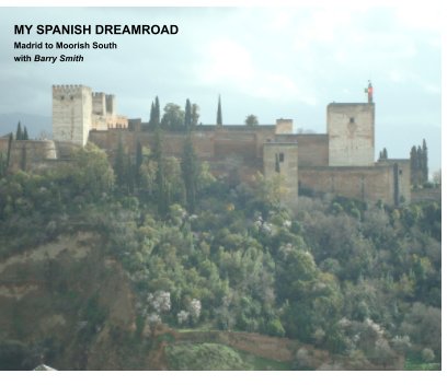 My Spanish Dreamroad book cover