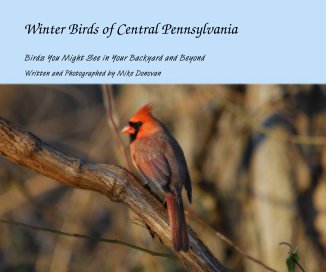 Winter Birds of Central Pennsylvania book cover