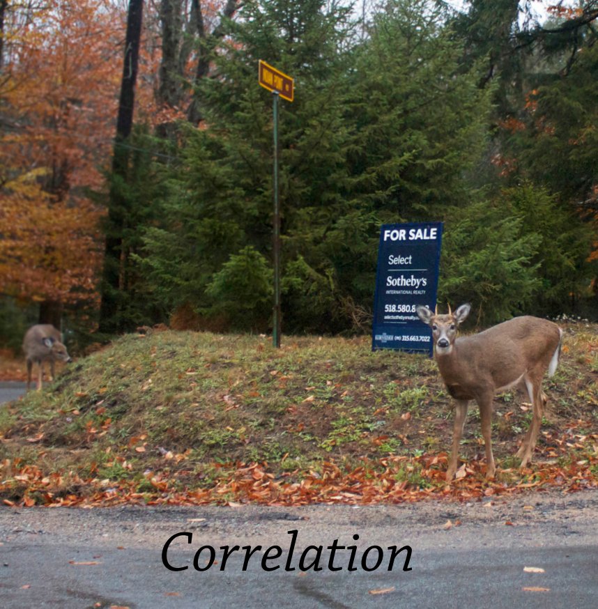 View Correlation by Gail Canne