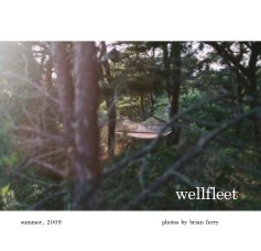 wellfleet book cover
