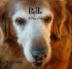 Belle book cover