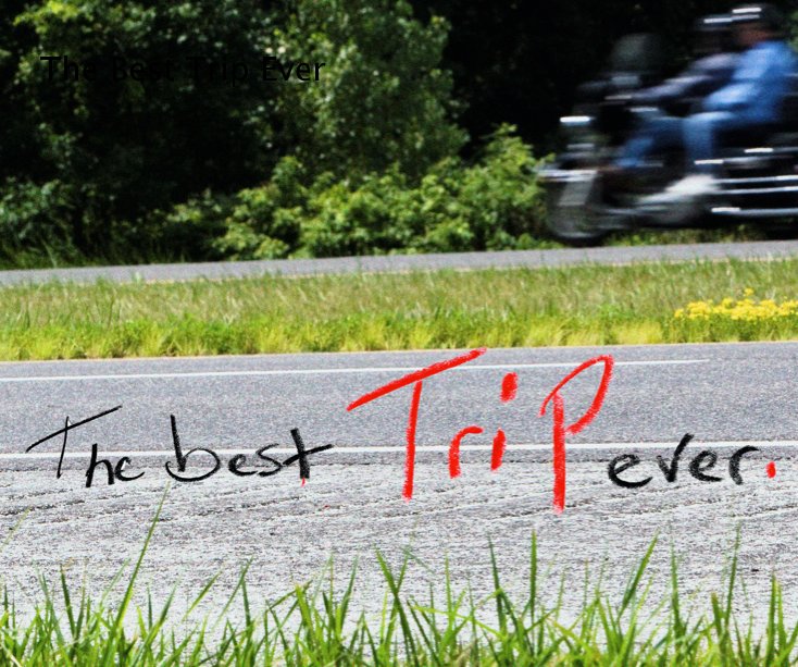 Ver The Best Trip Ever por Sean Murphy