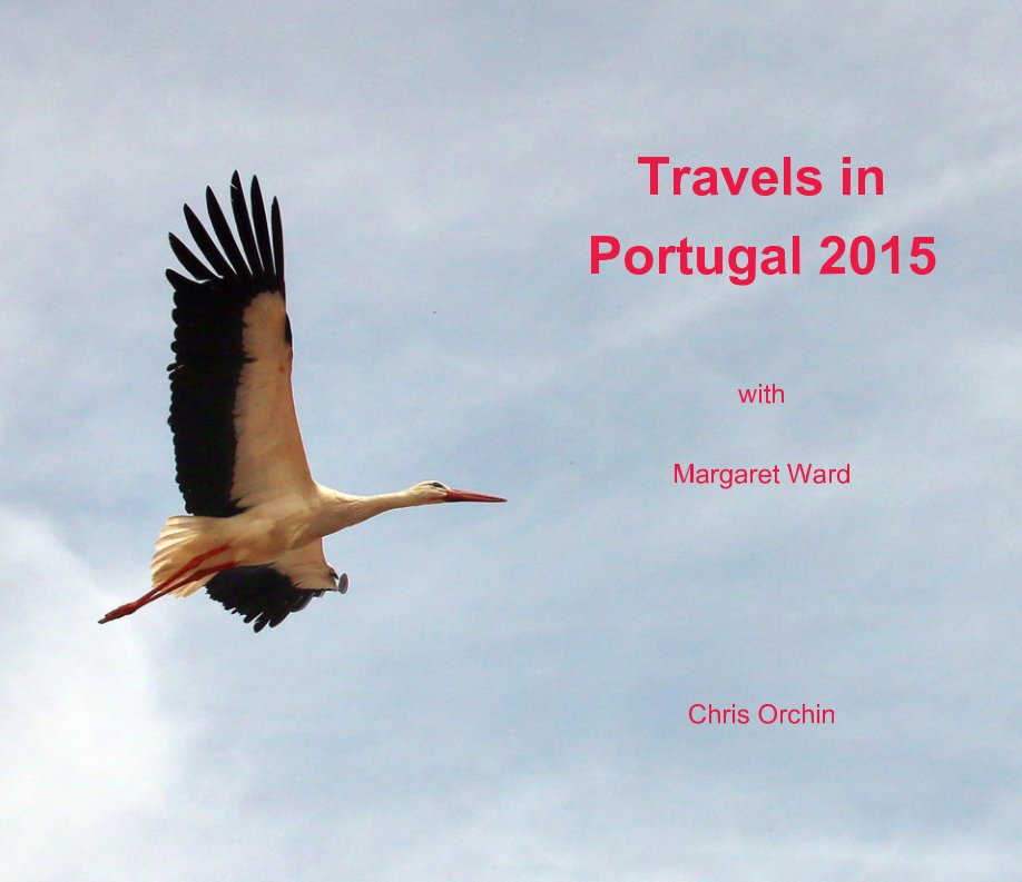 View Travel in Portgual 2015 by Chris Orchin