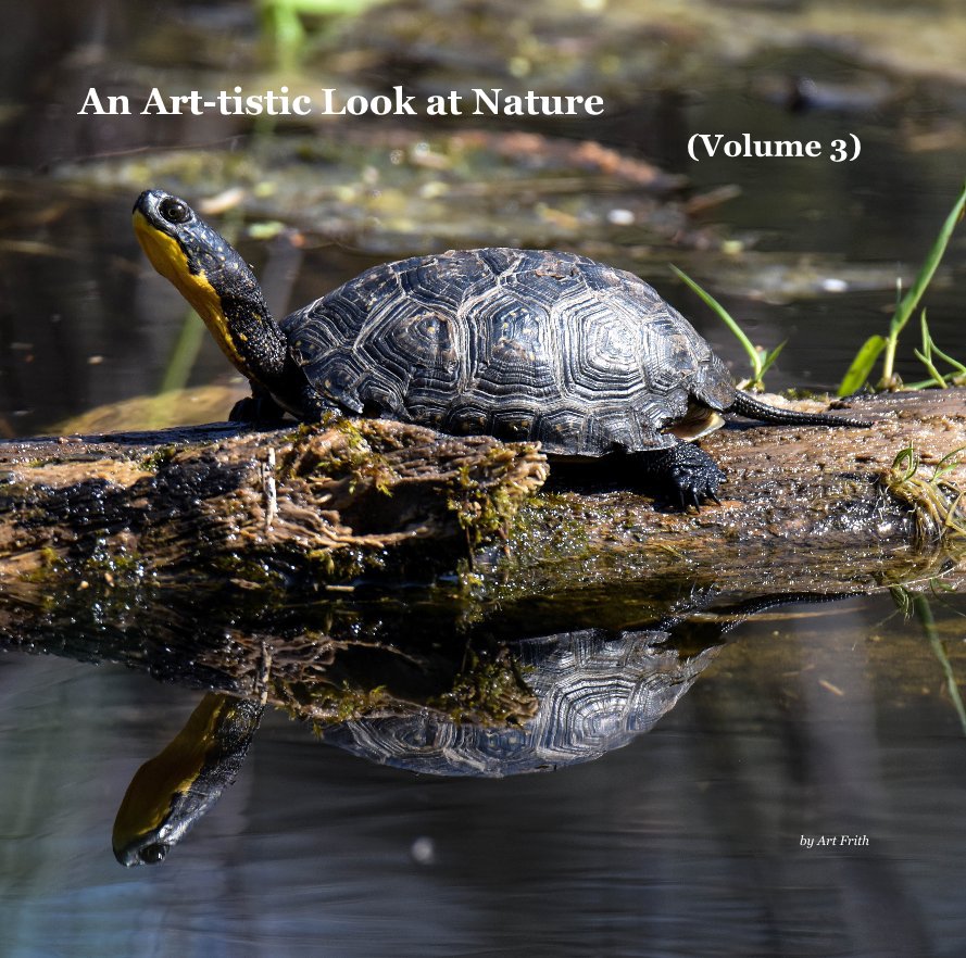 View An Art-tistic Look at Nature (Volume 3) by Art Frith