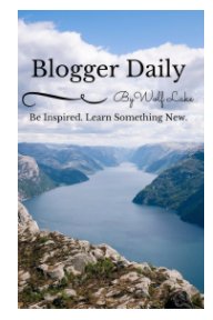 Blogger Daily book cover