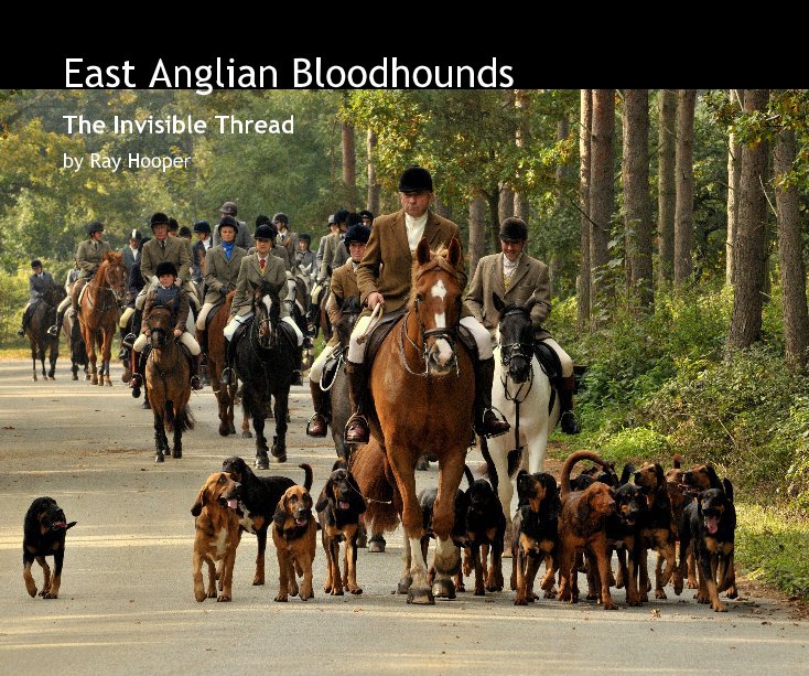 View East Anglian Bloodhounds by Ray Hooper