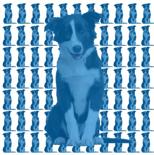Ver Life of Blue Dog por Emily Yocum