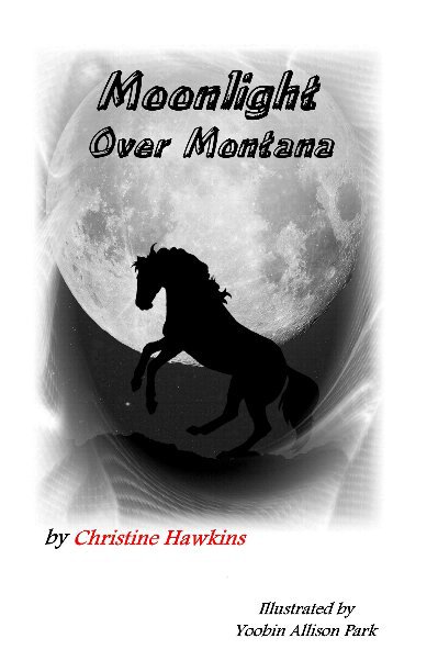 View Moonlight Over Montana by Christine Hawkins,   Y A  Park