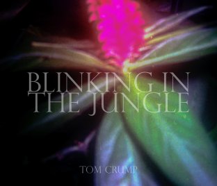 Blinking in the Jungle book cover