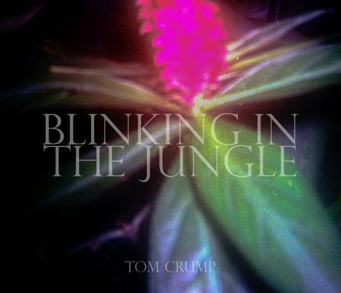 View Blinking in the Jungle by Tom Crump