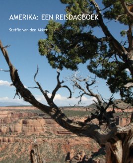 AMERIKA: EEN REISDAGBOEK book cover