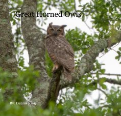 Great Horned Owls book cover