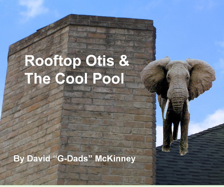 View Rooftop Otis & The Cool Pool by David B. McKinney