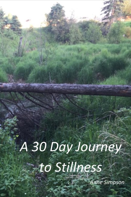 View A 30 Day Journey to Stillness by Anne Simpson