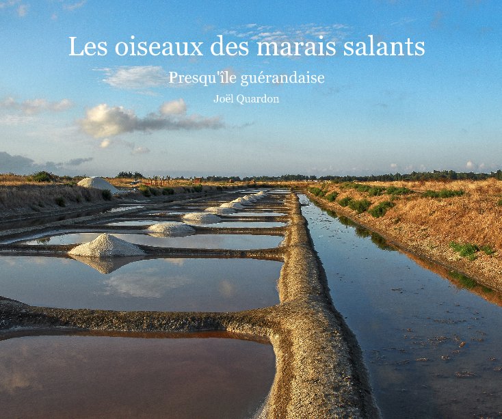 View Les oiseaux des marais salants by Joël Quardon