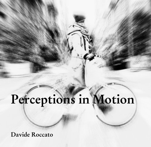Visualizza Perceptions in Motion di Davide Roccato