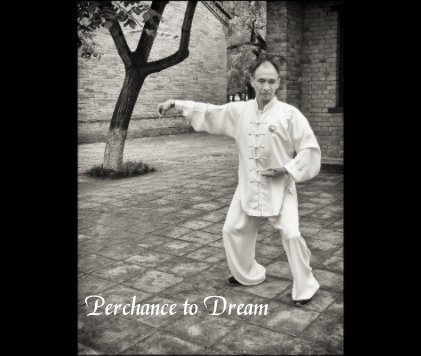 Perchance to Dream book cover