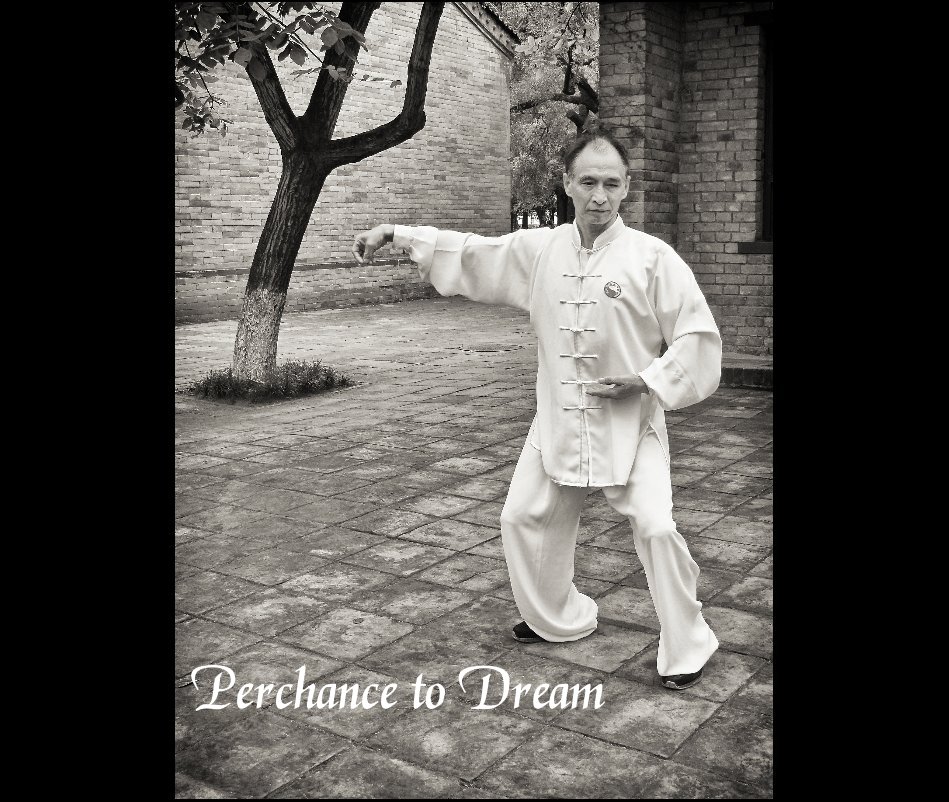 Ver Perchance to Dream por Lewis Steven Silverman