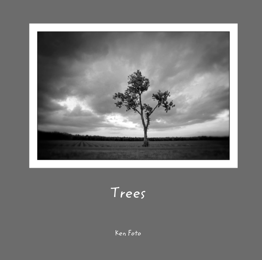 Ver Trees por Ken Foto