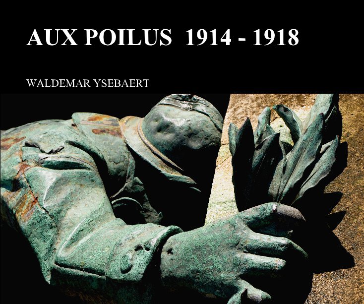 View AUX POILUS 1914 - 1918 by WALDEMAR YSEBAERT