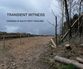 TRANSIENT WITNESS book cover