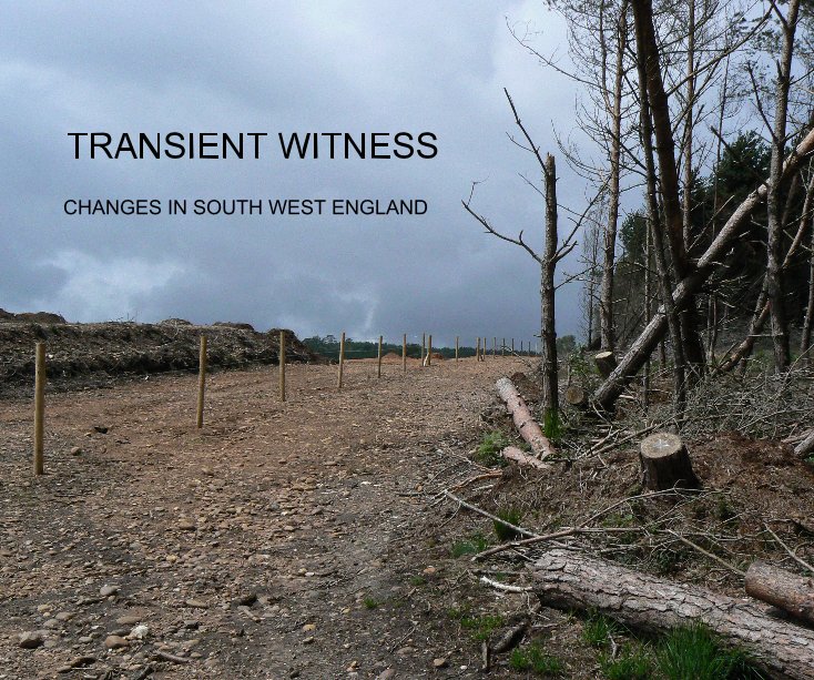 View TRANSIENT WITNESS by RPS CONTEMPORARY GROUP