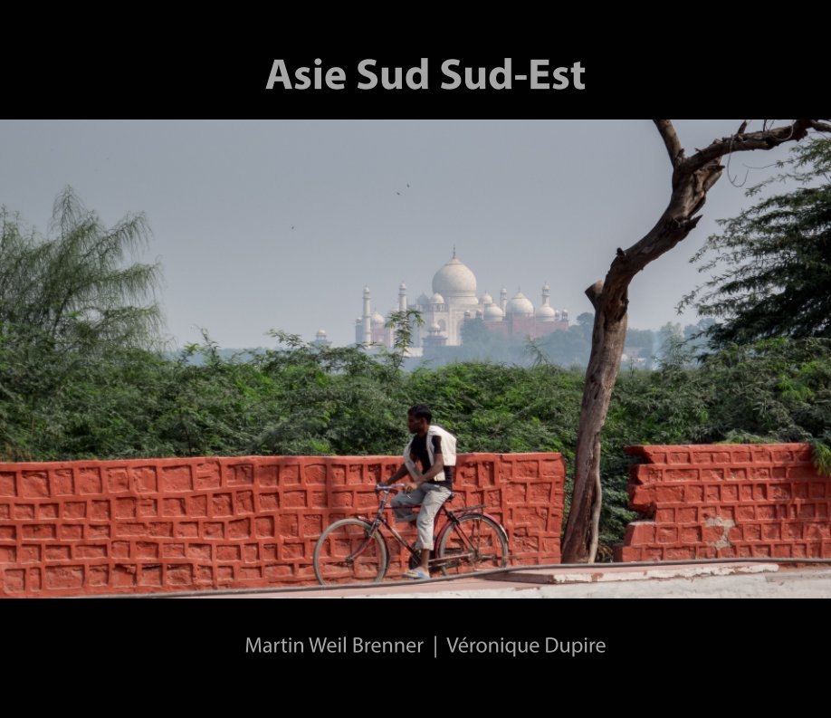 View Asie Sud Sud-Est by Véronique Dupire, Martin Weil Brenner