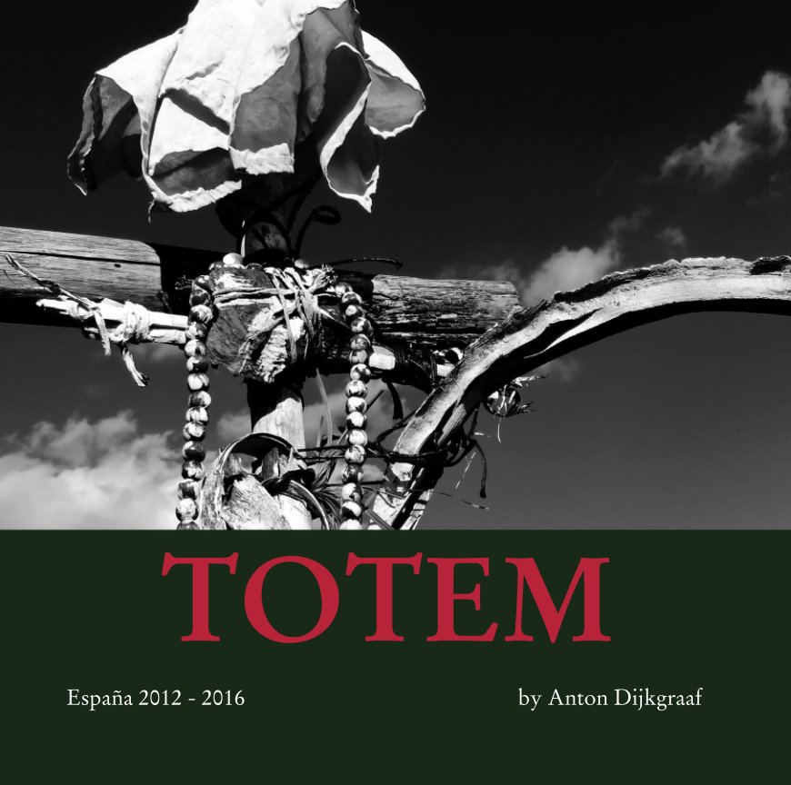 View TOTEM by Anton Dijkgraaf