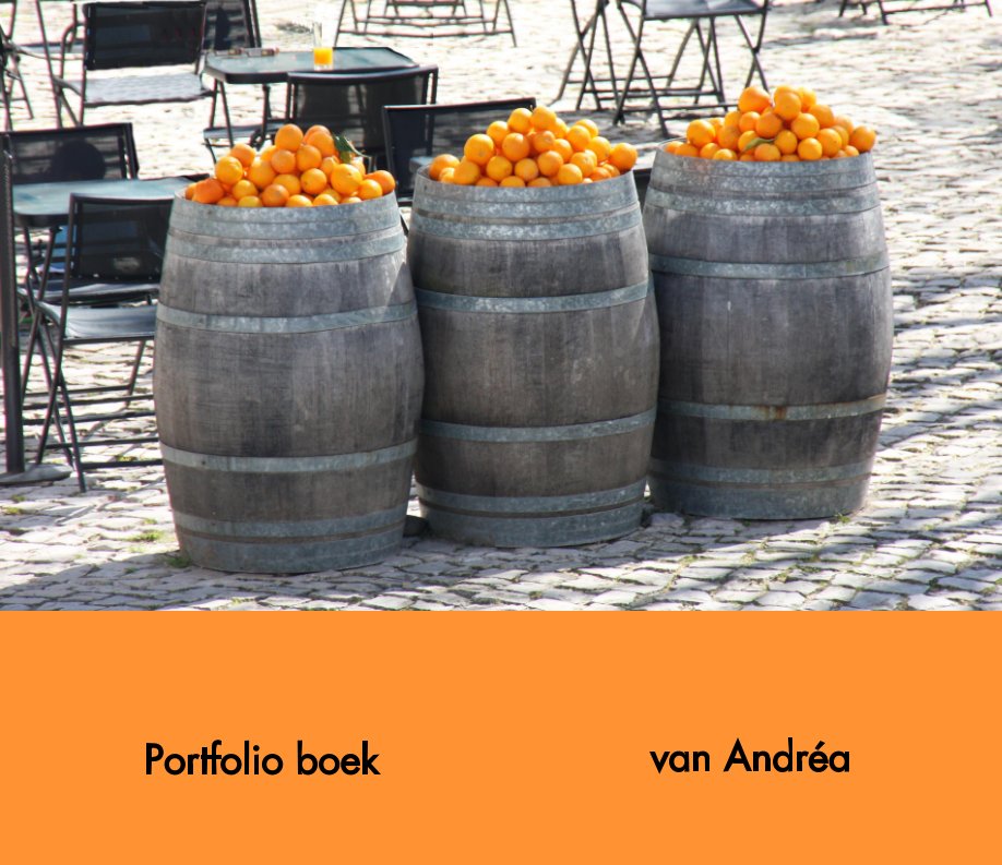 View Portfolio Boek 2015 by Andréa Hélène van der Pluijm