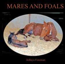 Mares and Foals book cover