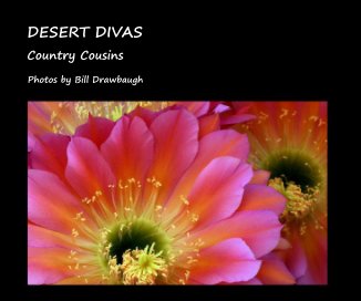 DESERT DIVAS book cover