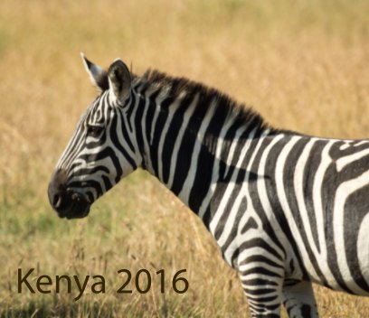 Kenya 2016 book cover