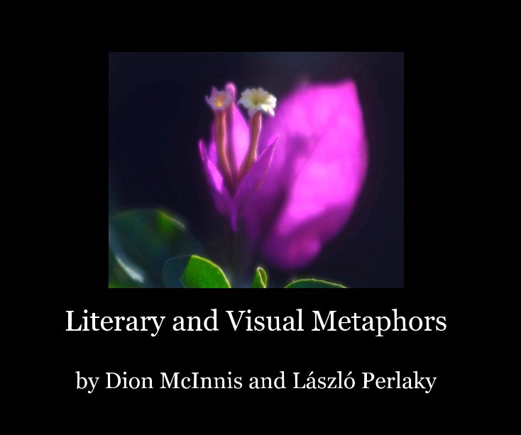 View Literary and Visual Metaphors by Dion McInnis, László Perlaky