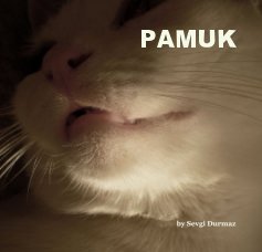 PAMUK book cover